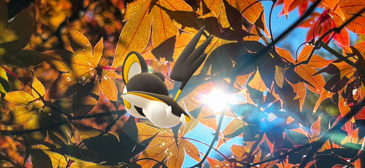 caerleon0327's tweet image. Autumn Colors

#ARofTheAutumnleaves2024
#GOsnapshot 
#らむねたんのARオフ会