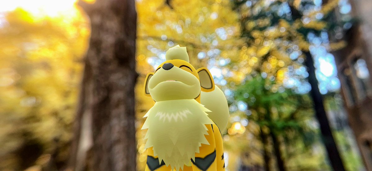 caerleon0327's tweet image. Autumn Colors

#ARofTheAutumnleaves2024
#GOsnapshot 
#らむねたんのARオフ会