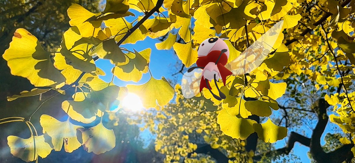 caerleon0327's tweet image. Autumn Colors

#ARofTheAutumnleaves2024
#GOsnapshot 
#らむねたんのARオフ会