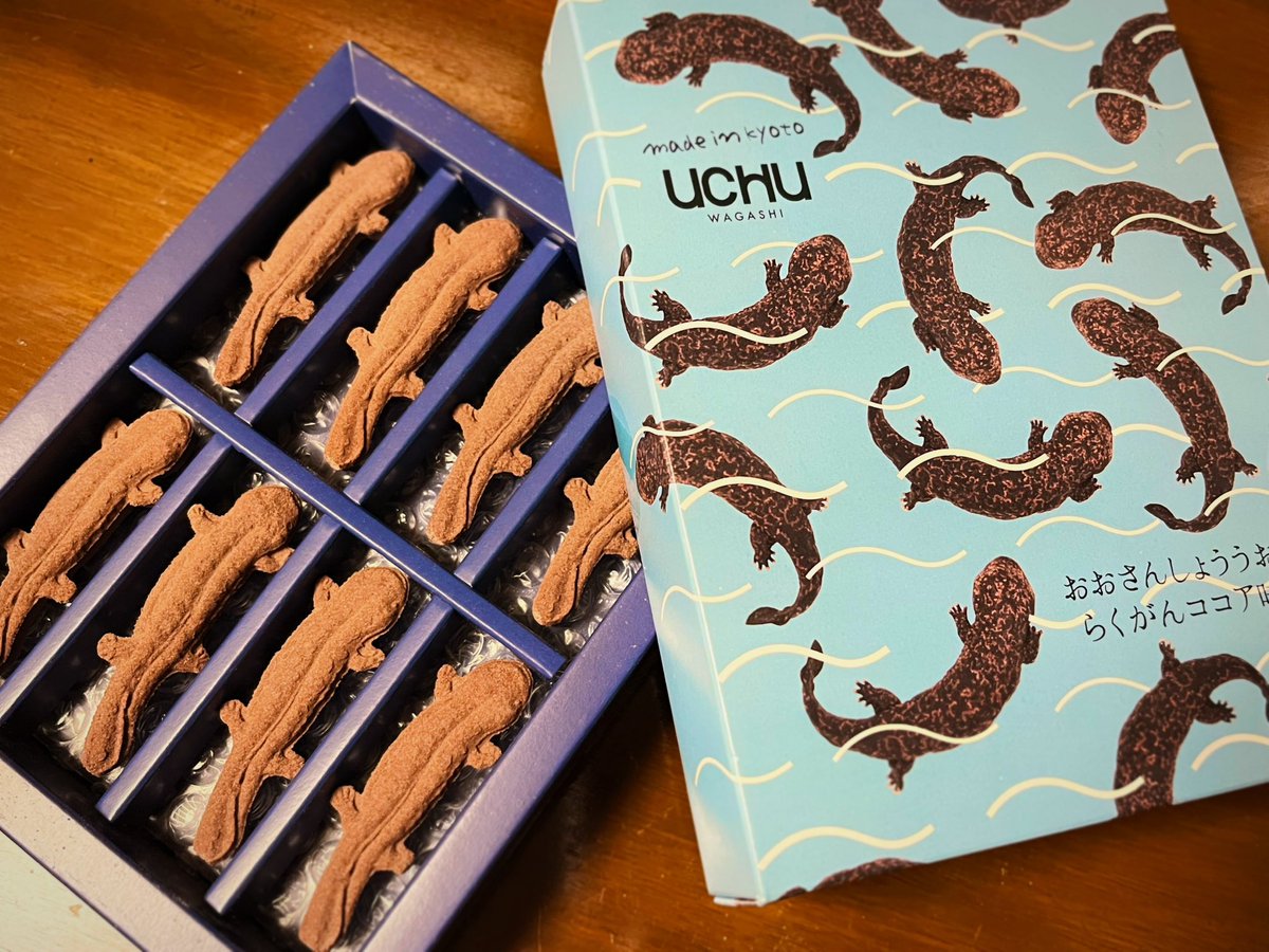 ネコザメ堂 (@necozamedo) / Posts / X