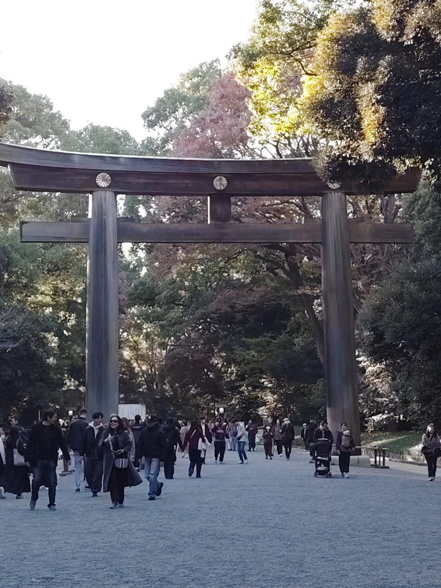 yasushi1869's tweet photo. 今日はイトコと神社巡りでしたの。
楽しかった～🙌🙌

愛宕神社、出世の大階段っていう、めっちゃ急な階段(2枚目)があるんだけど、ナビ通りに行ったら裏の坂から上がっちゃったので、出世の大階段を降りて帰りました笑アカン笑 https://t.co/BvokIUVDaW