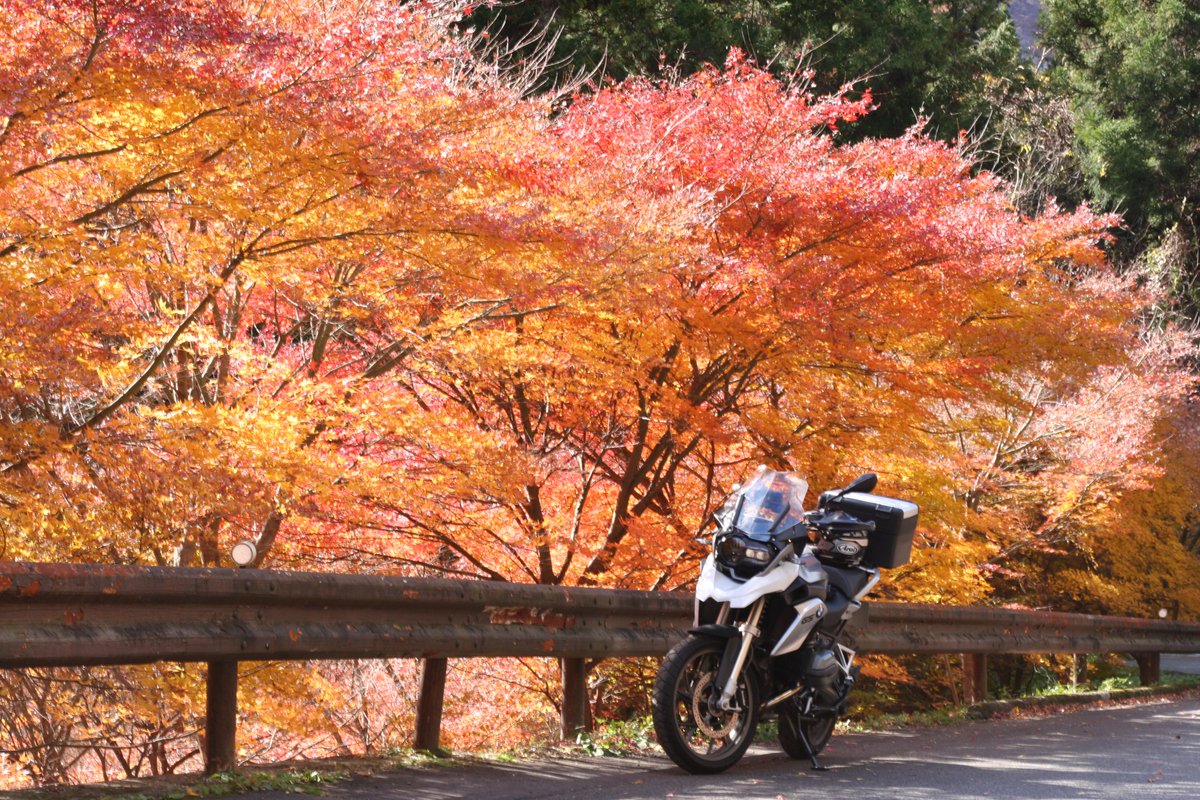 s1wbuell's tweet photo. 🍁狩り
#r1200gs
#r1200gsa
#motorrad
#bmwgs
#gslife
#バイクライフ
#バイクのある風景
#バイクのある人生
#バイク写真部
#ファインダー越しの私の世界 https://t.co/e9SjxpArBm