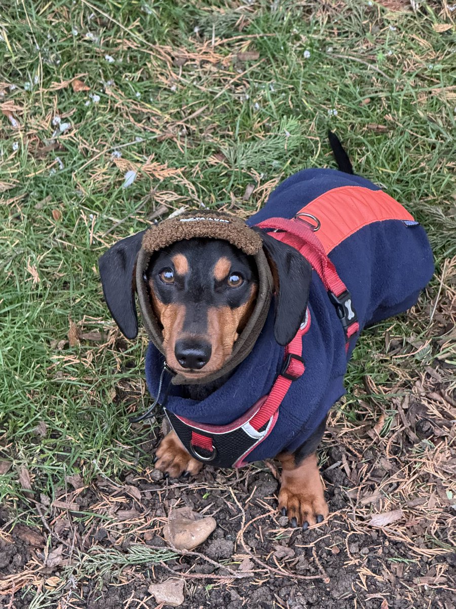 Ranger Duke tweet media