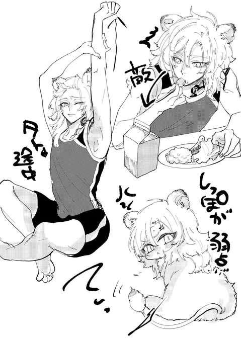 ケモザのrkgk 