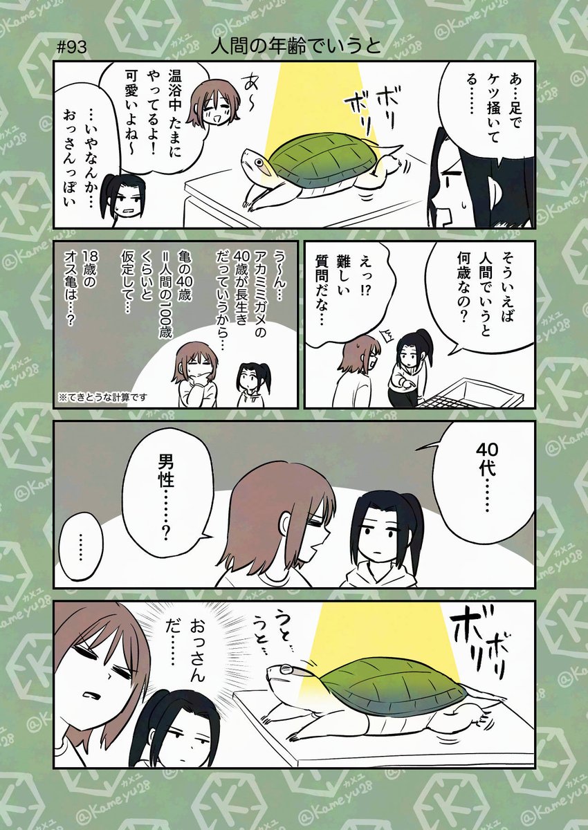 カメジェンヌ (@KOAYGbHGvVE5DXU) / Posts / X