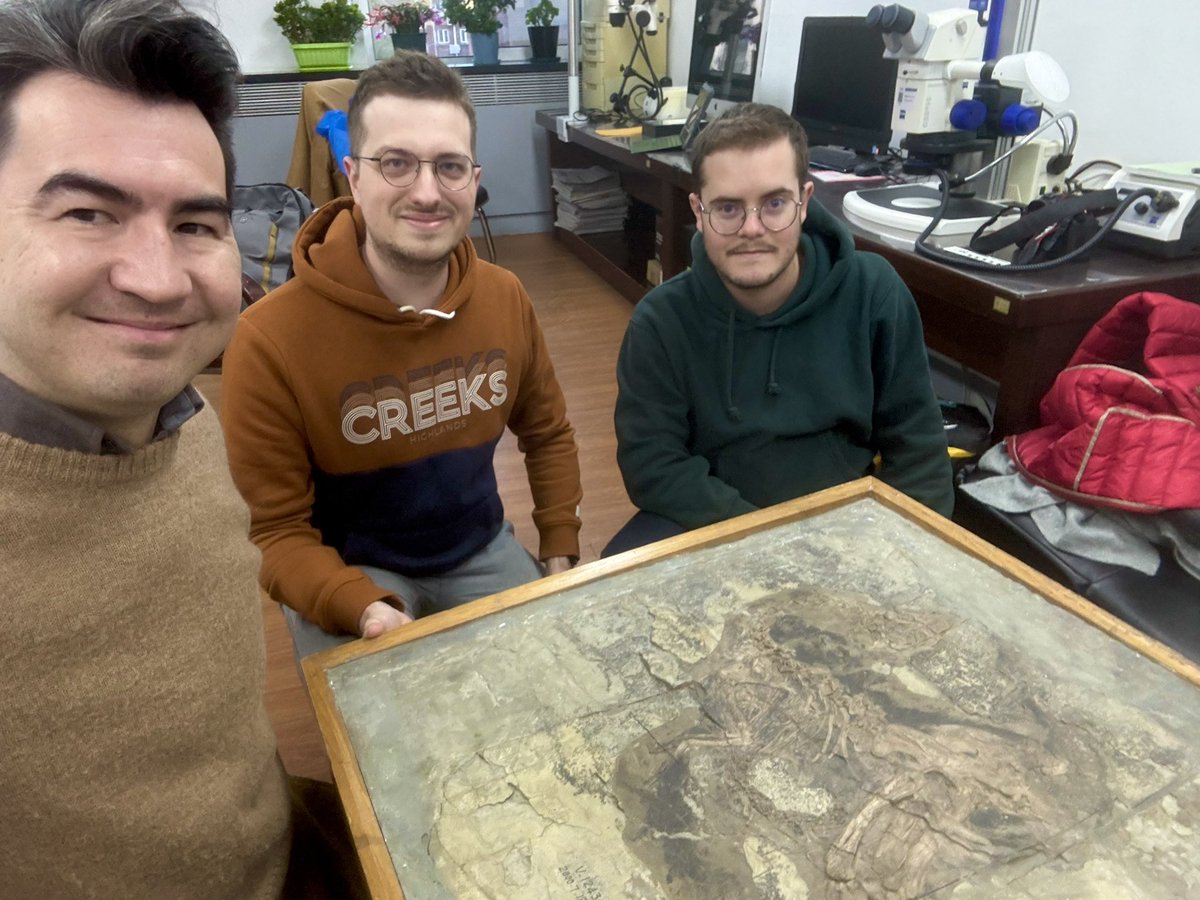 PalaeoPittman's tweet photo. Lovely trip to Beijing to support PhD students @ChotardMatthieu + @GrosmouginPaleo on their #IVPP specimen visit. Treated to a wonderful array of feathered #dinosaur #fossils. Saw a range of colleagues &amp; friends too. 
@CUHKScience @CUHKofficial https://t.co/mag59dnSDG
