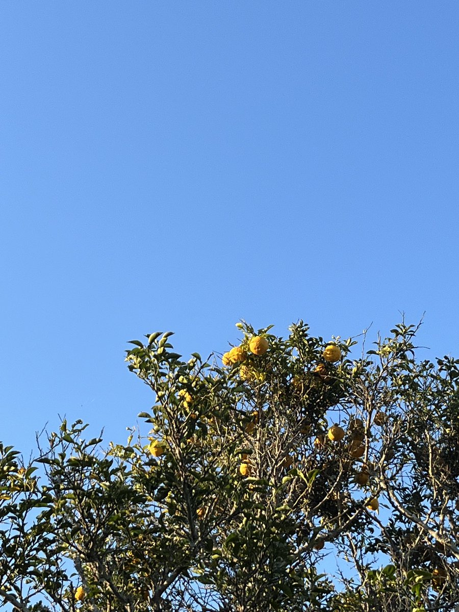 rabbit rabbit White rabbit 🐇(･ᴗ･🐇)  ∩∩𓃺𓈒𓏸∩∩𓃺𓈒𓏸∩∩𓃺𓈒𓏸∩∩
新しい月のおまじない (*•̀ㅁ•́*)🪄⌒♡｡．  大成功をお祈りしてます