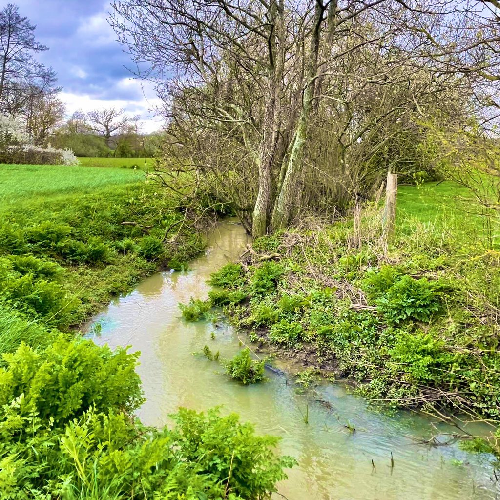 🧵Chilmington Green is a development of 2,700 homes. Developers propose discharging 927 cubic metres of sewage DAILY into a tributary of the River Beult, a Site of Special Scientific Interest. 

Read about it ⬇️ then email to object at psc-waterquality@environment-agency.gov.uk