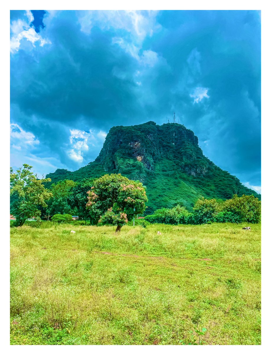 Wod Anaka tweet media