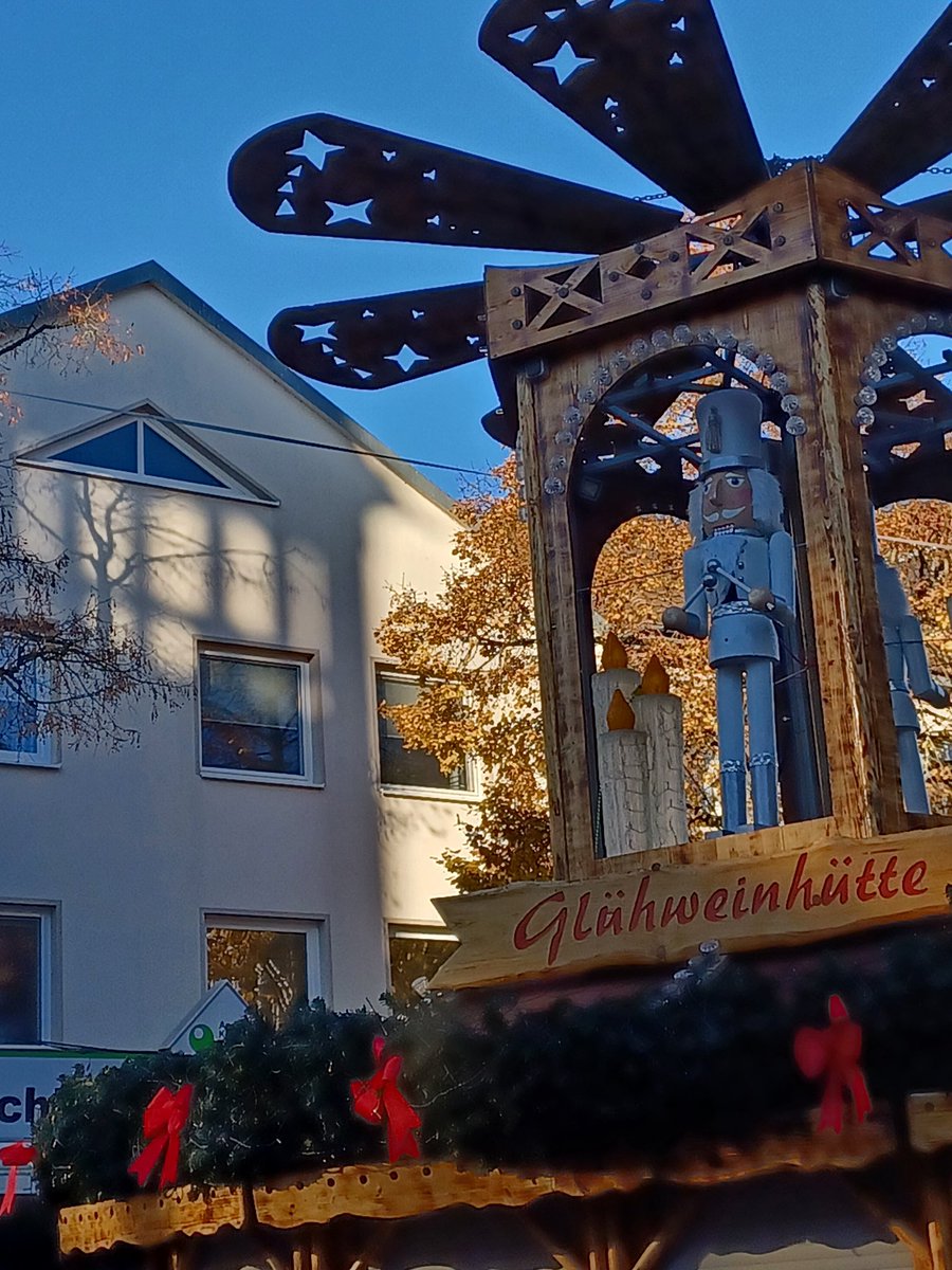 софия шварц tweet media