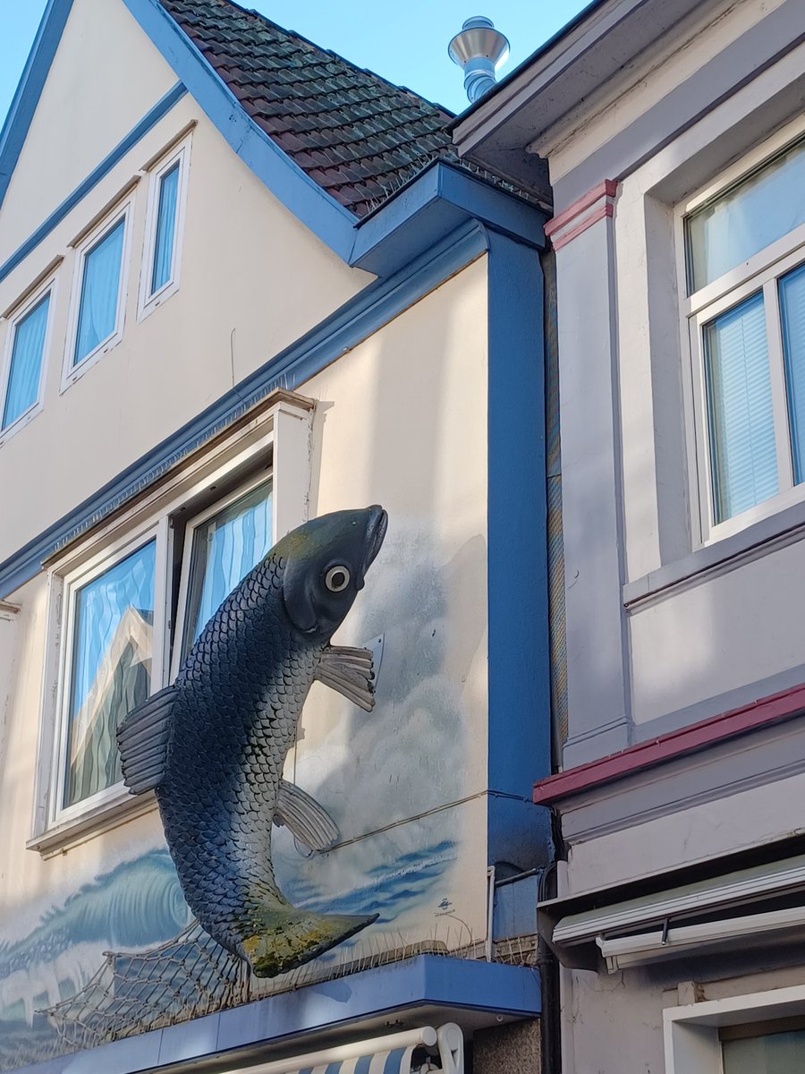 софия шварц tweet media