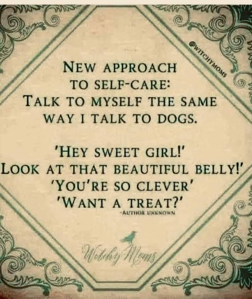 Heckin Good Dogs tweet media