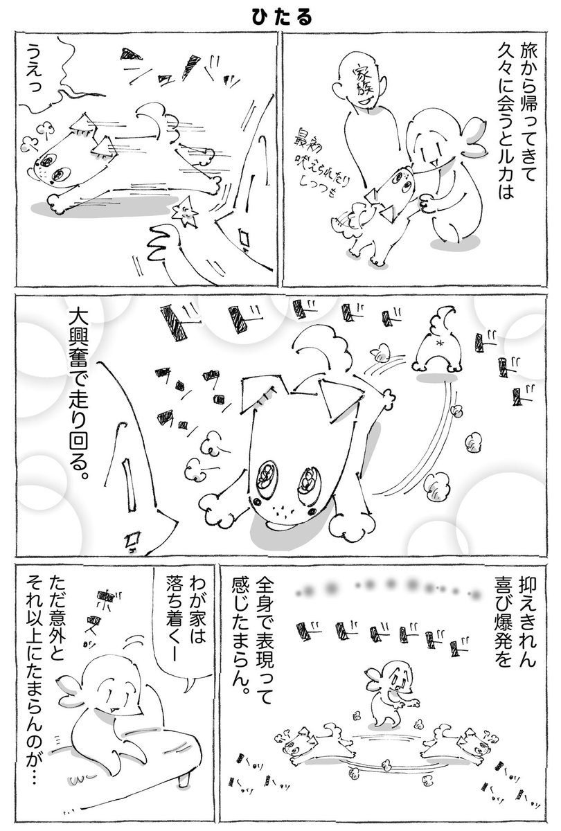 うちの犬のルカ。22【0/3】 