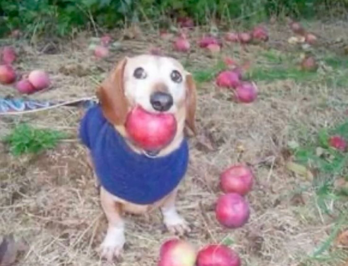 How it feels to be a cider drinker in a world full of beer drinkers