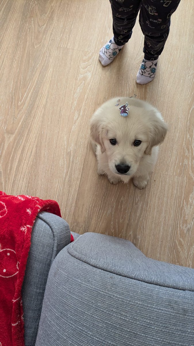 1 week of Gojo ❤️