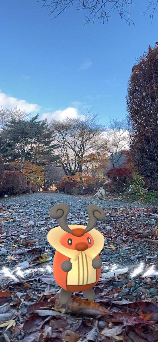 Matsumaz's tweet image. 炊事場は随所に点在していてシャワー室とトイレがキレイ!
キャンプ場で冬に暖房便座とウォシュレット使える幸せ☺️ #キャンプ場 #PokemonGOARPlus #紅葉