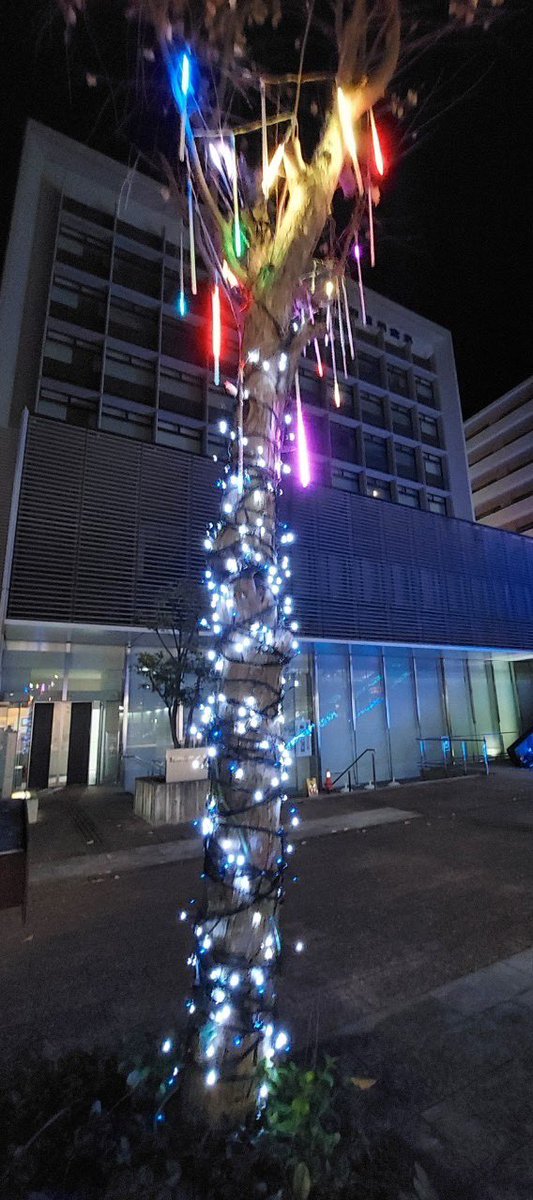 今年も繋で飯田市トップヒルズのイルミネーションの装飾をさせていただきました！
飯田市内へ行かれたらぜひご覧になってくださいね✴︎
＜点灯期間＞
2024年11月30日（土）～2025年1月19日（日）
＜点灯時間＞
17：00～22：00
＜開催場所＞
飯田市本町1丁目目（飯田信用金庫本店前広場）
詳細はALTへ