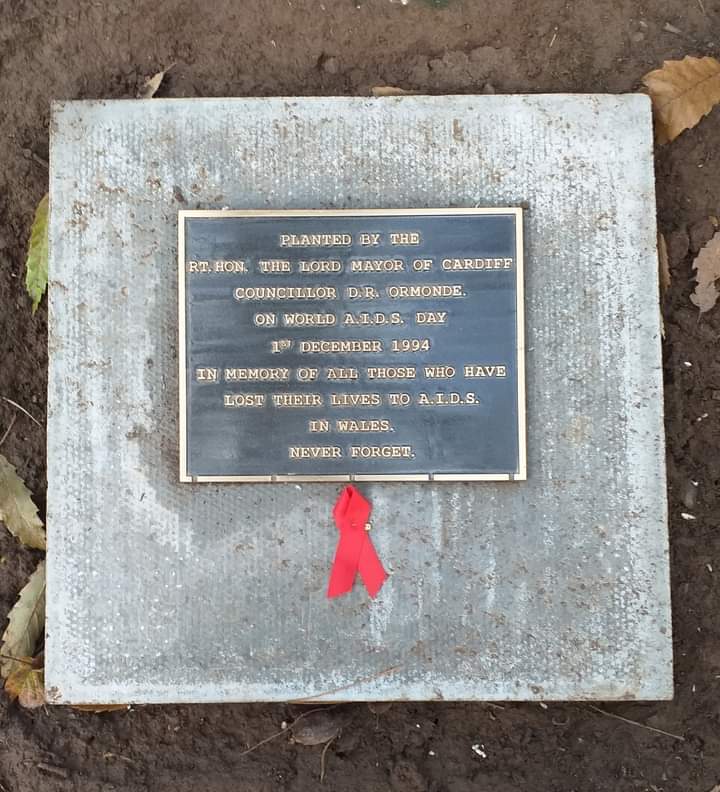 If there is one thing you do today please:
Remember those who have lost their lives to A.I.D.S. 
Think of those living with HIV today
Call on an end to ignorance &amp; stigma that create barriers that stop people having equitable access to treatment &amp; ending A.I.D.S.
#WorldAIDSDay