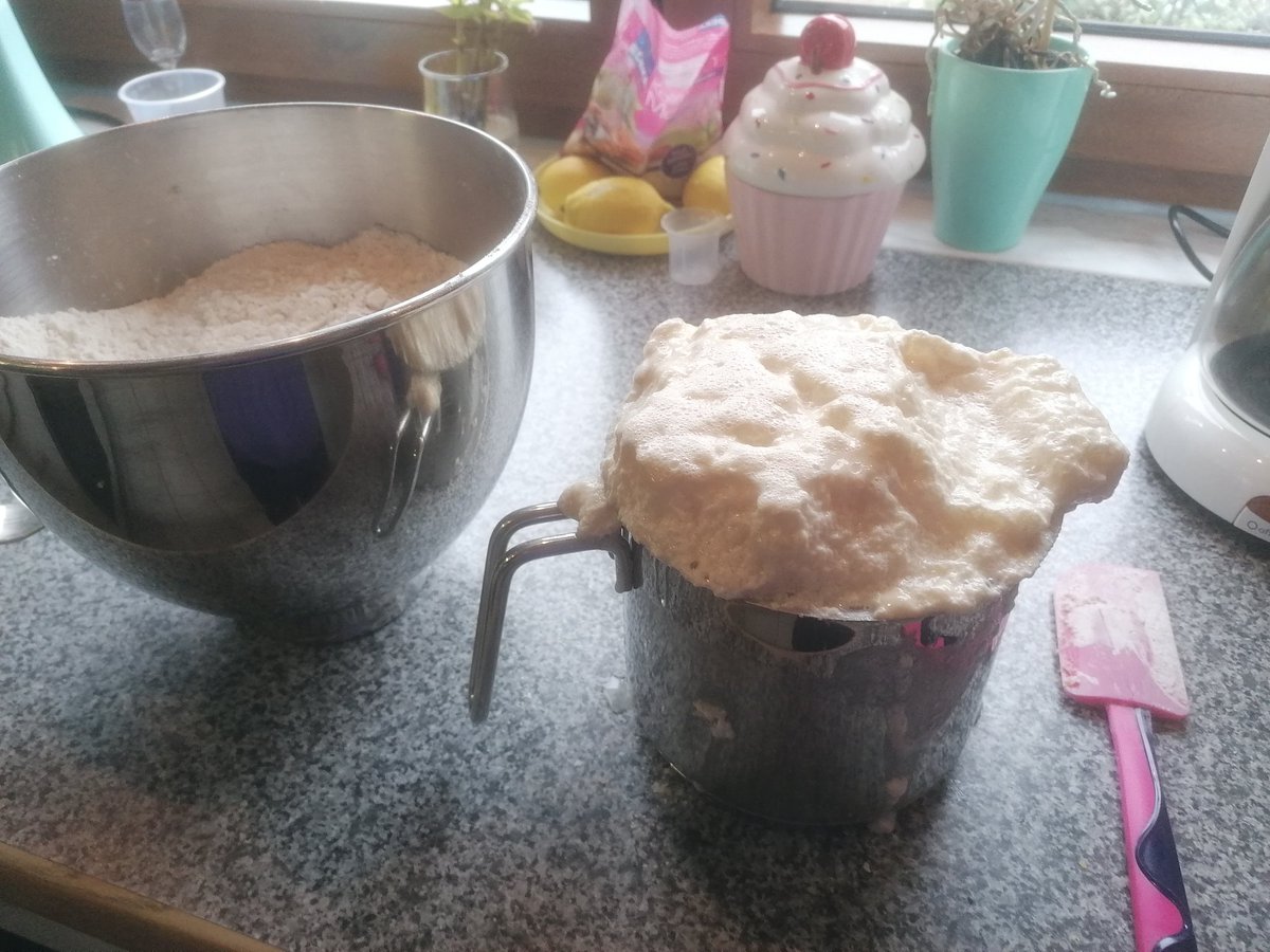 LioraSun's tweet image. Also die Hefe ist schonmal gut gegangen🥴😉. 
#ersteradvent 🕯️