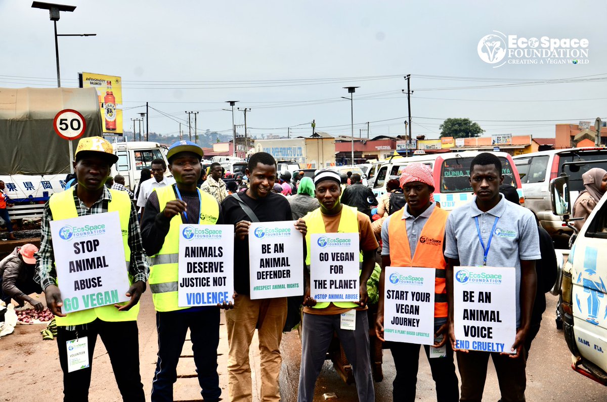 EcoSpaceFoundn's tweet photo. Raising a voice against animal injustice, join us for collective animal liberation
#action #animaljustice #animalliberationnow #goveganfortheanimals #endbrutality #veganoutreach #streetactivism #uganda🇺🇬 #áfrica #support #joinus #getinvolved #viral #support #volunteer https://t.co/sHFrenSW7v