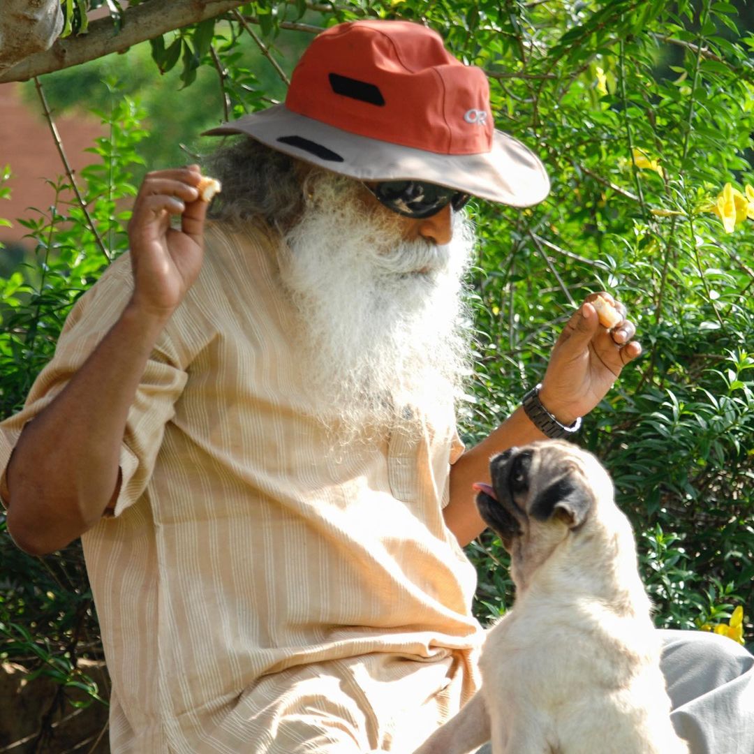 withsadhguru's tweet photo. I don’t even pass an opinion on my dogs…

“The moment you form an opinion about someone or something, you cannot mingle in abandon, and that means you cannot experience anything or anyone but only soak in your own opinions. Opinions are like cataracts upon the eyes - definitely not for someone who is looking to enhance his perception or vision.” @SadhguruJV