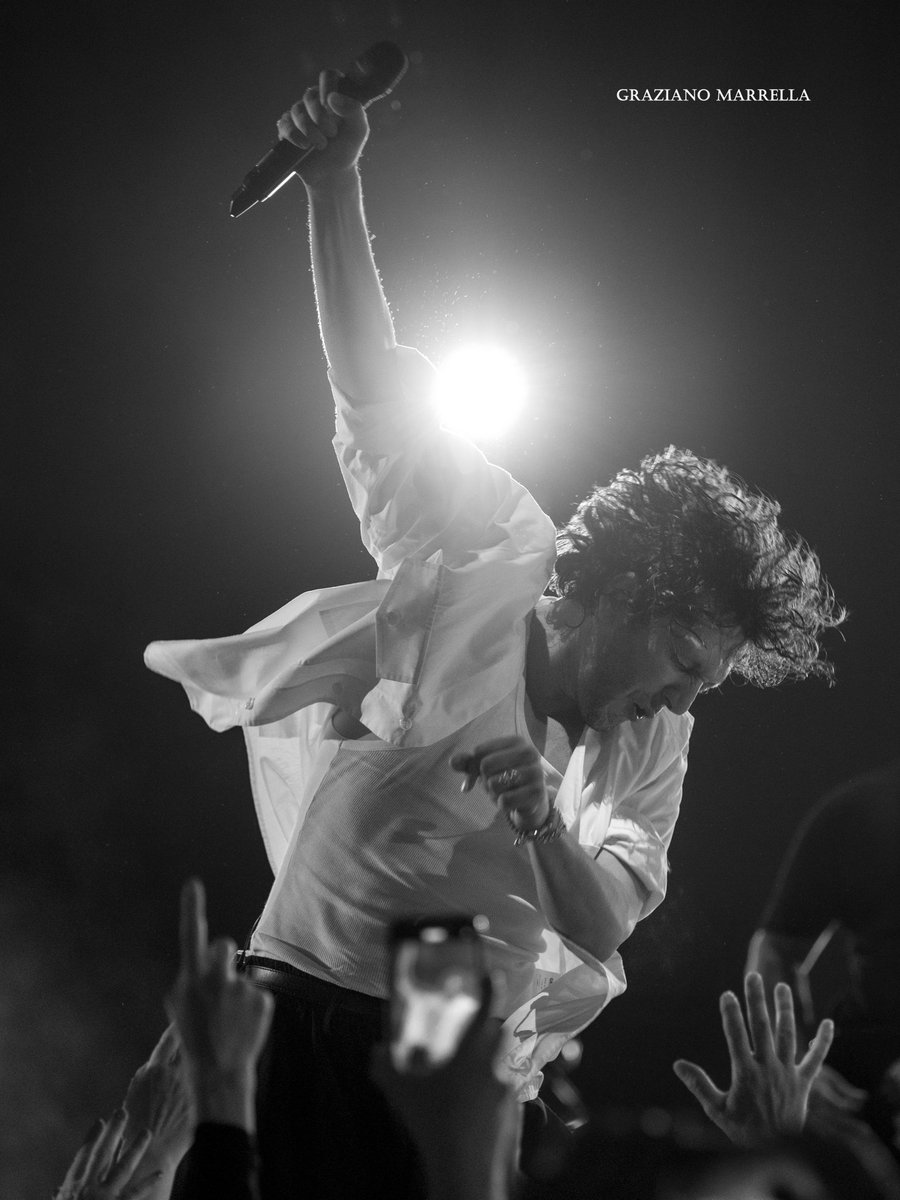 🌈 Graziano 🐺 tweet media