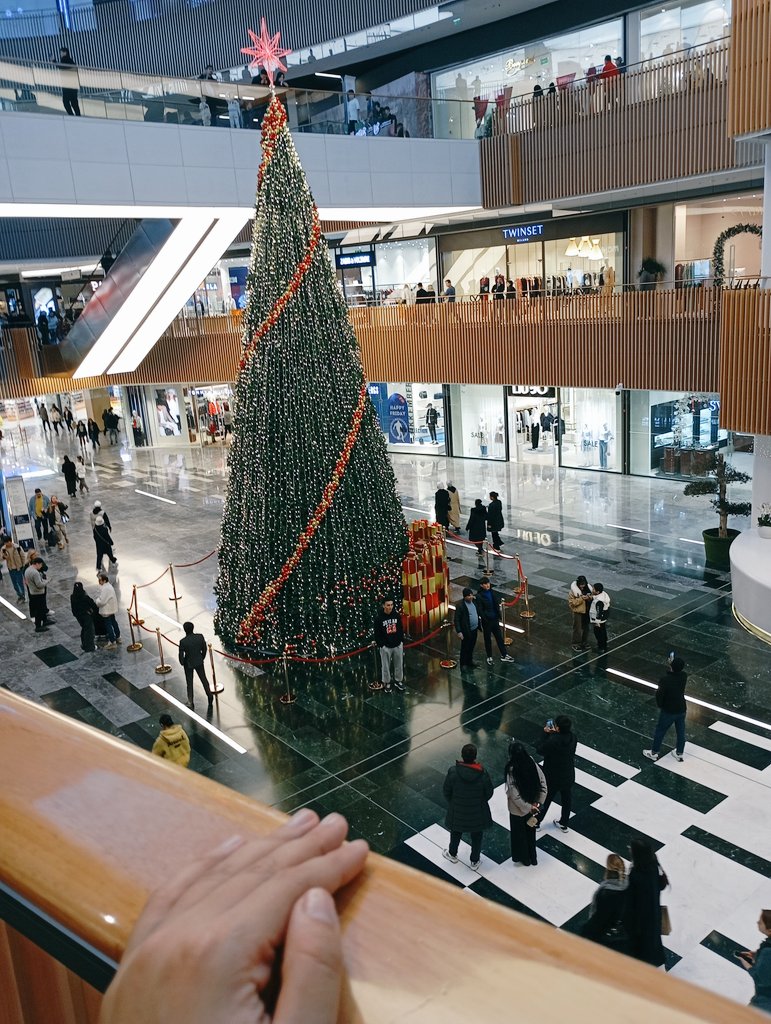 Archa qóyishibdi🥰