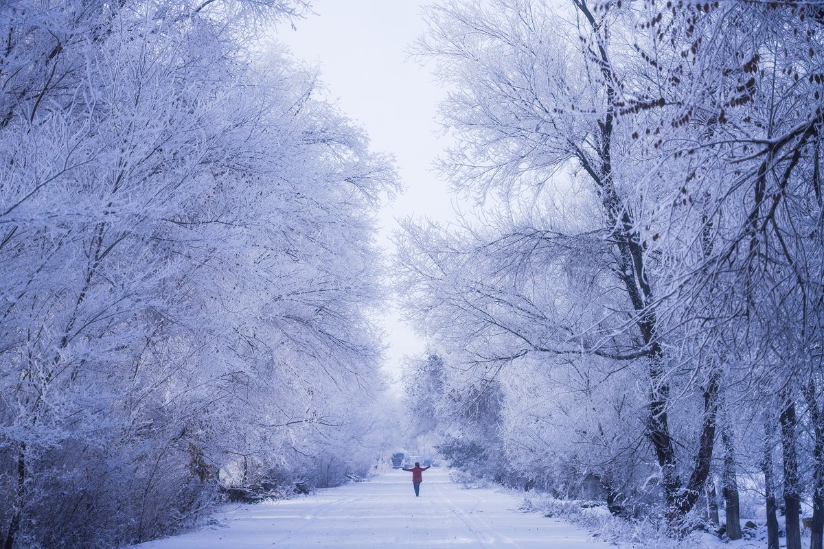 ChinaDaily's tweet photo. #ChinaCanvas A vast rime spectacle blanketed the suburban area in Changji Hui autonomous prefecture in #Xinjiang on Saturday. Visitors wandered as if in an enchanting fairyland, lingering on with no intent to leave. #travel #tourism https://t.co/hAHXsWwwxH