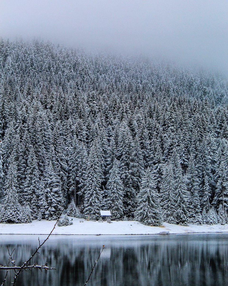 My Guide Montenegro tweet media