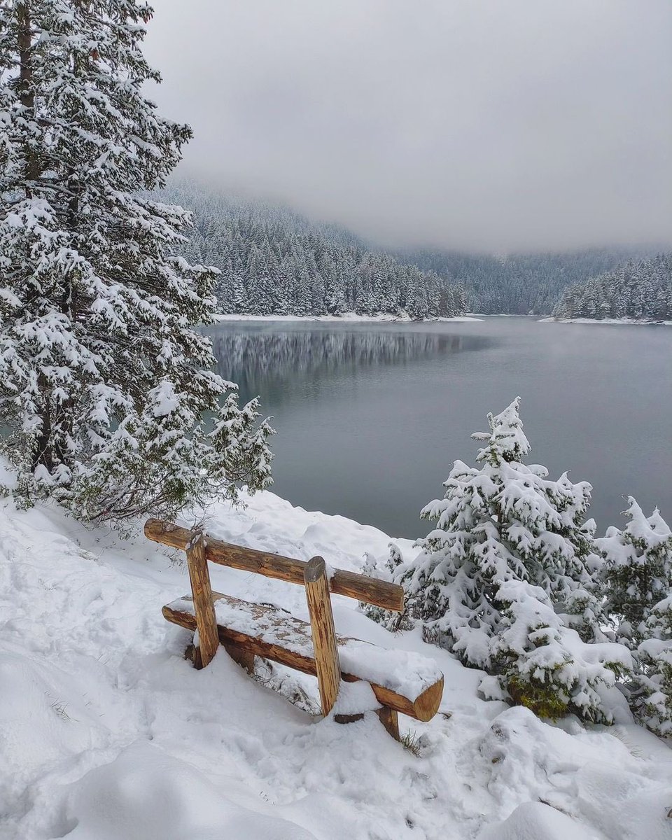 My Guide Montenegro tweet media