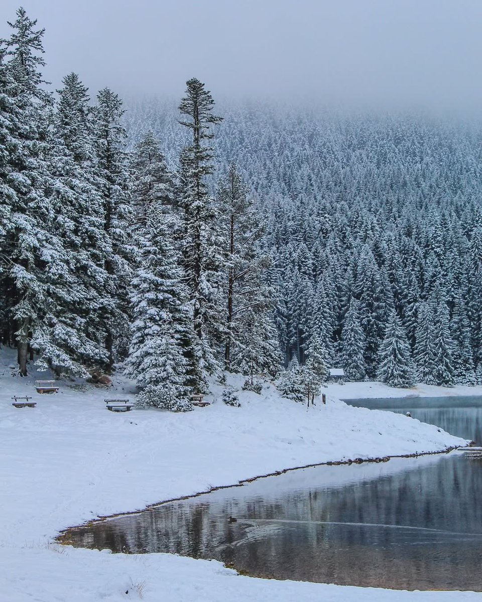 My Guide Montenegro tweet media