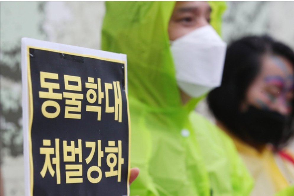 NamiKim_DogsSK's tweet photo. Killing an animal will carry a sentence of 4 months to a year in prison, with a maximum sentence of 3 years in the event there are aggravating factors in the case
November 4, 2024 - by .@JoongAngDaily
📰https://t.co/sehthOQY5O
#SouthKorea #DogMeatFree https://t.co/npNjCwIS4J