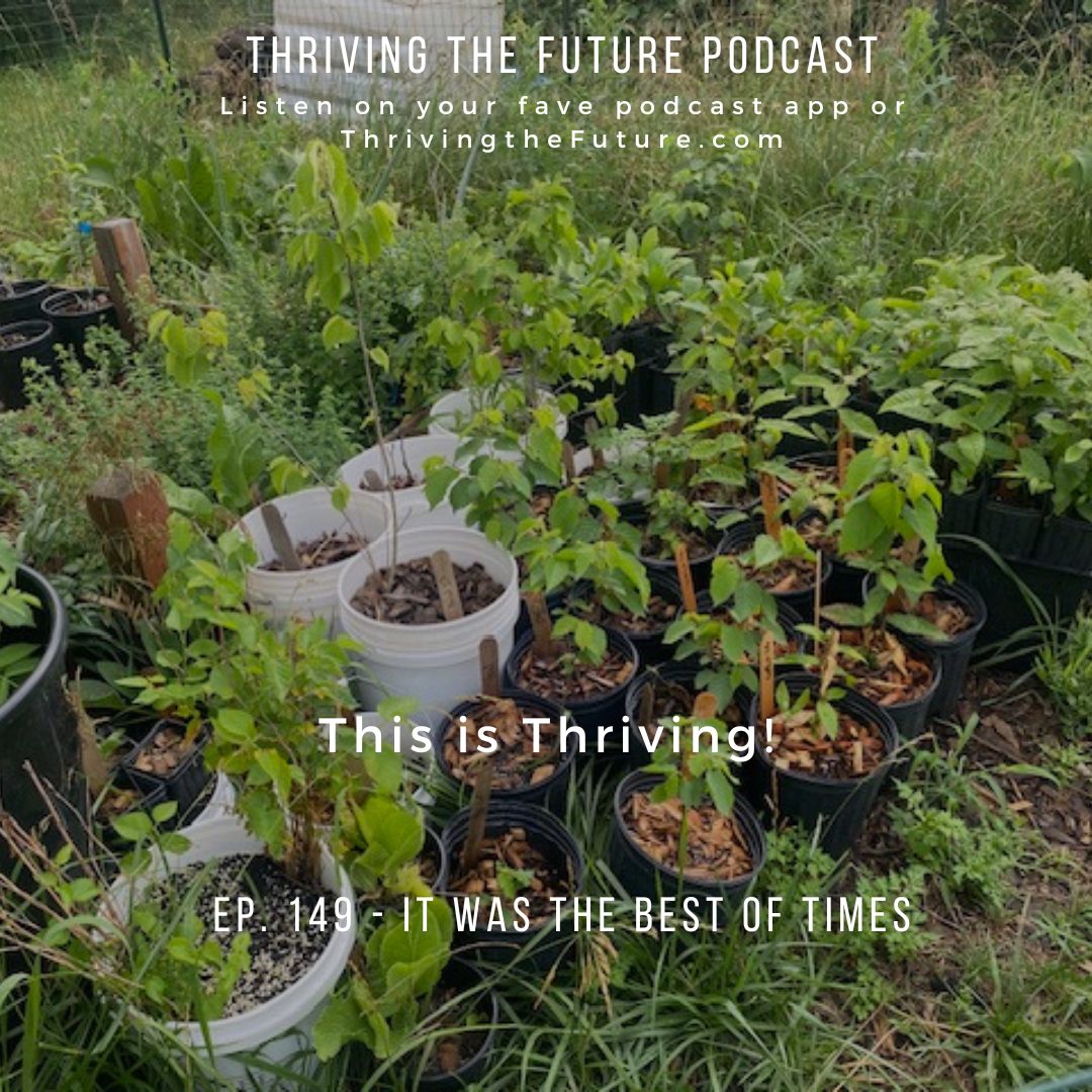 This has been the best year IRL!
Grew 10x more trees. Sold most of them, with people asking for more.
Designed a 3 acre food forest for a large paid client.
Hear more of my wins and get inspired!
🎧- Listen to Ep. 149 - On your fave podcast app and ThrivingtheFuture.com