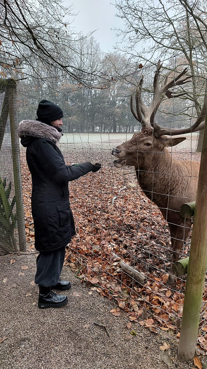 Bambi, is that you? 👑