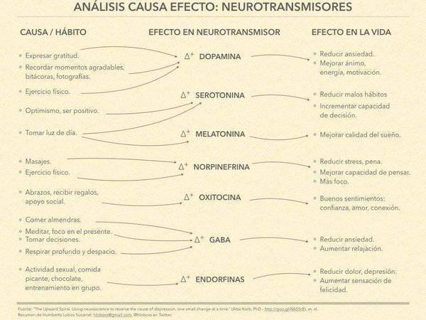 virginiog's tweet image. Psicología: Correlaciones entre hábitos y neurotransmisores