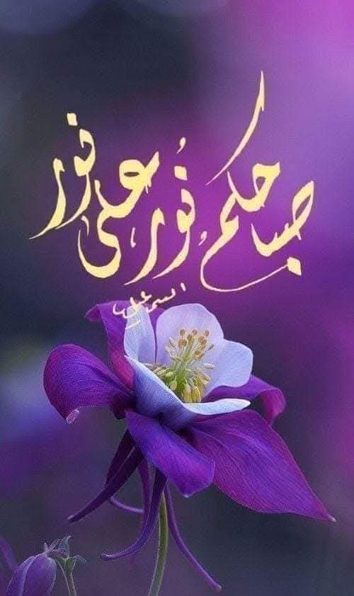 <a href="/Mohamed75014085/">Mohamed Sheta</a>