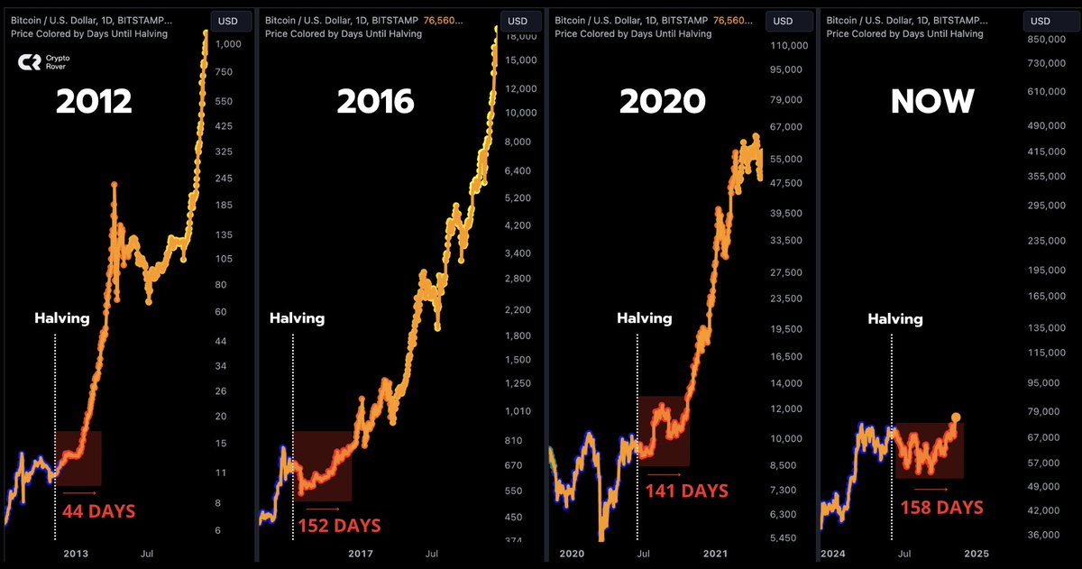 Congratulations, you trusted the #Bitcoin 4-year cycles!