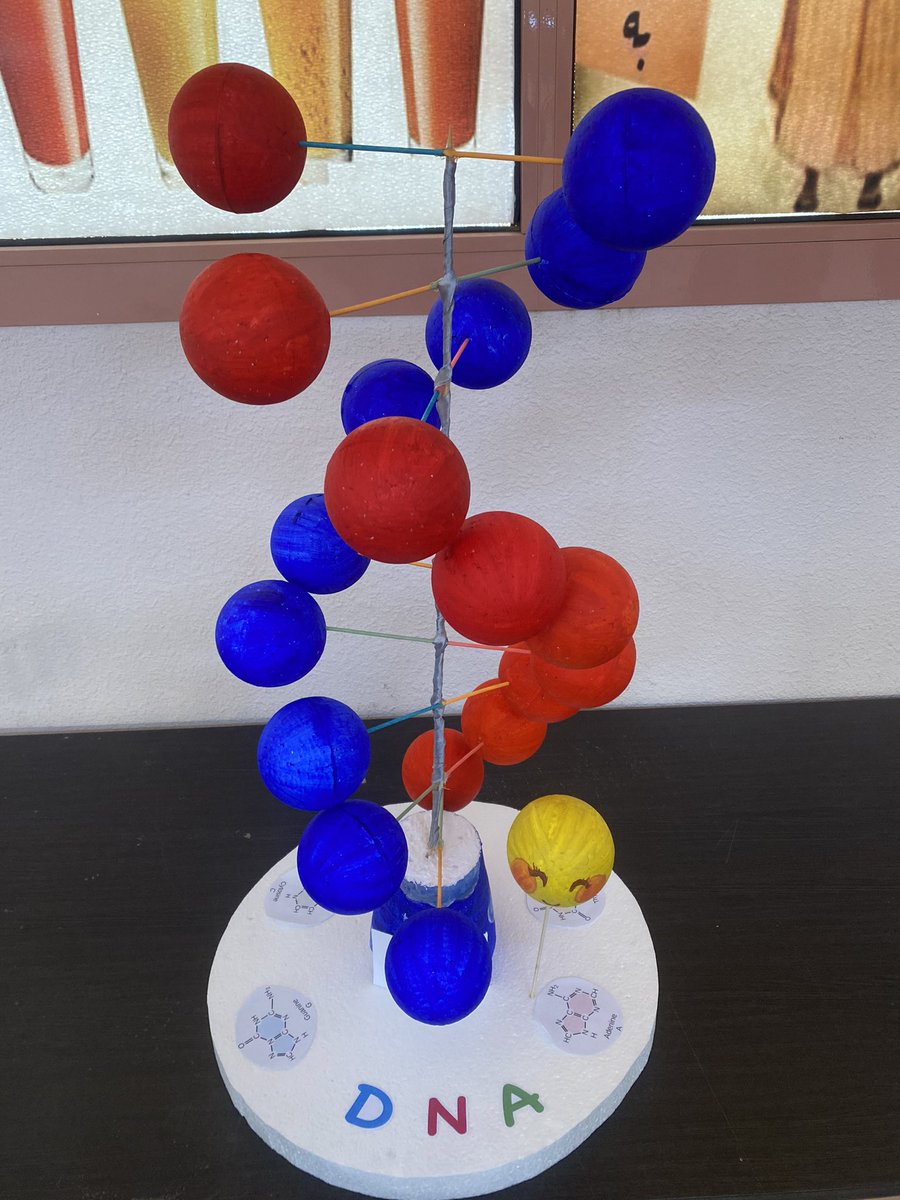 أ/بشاير الحربي 🧪 tweet media