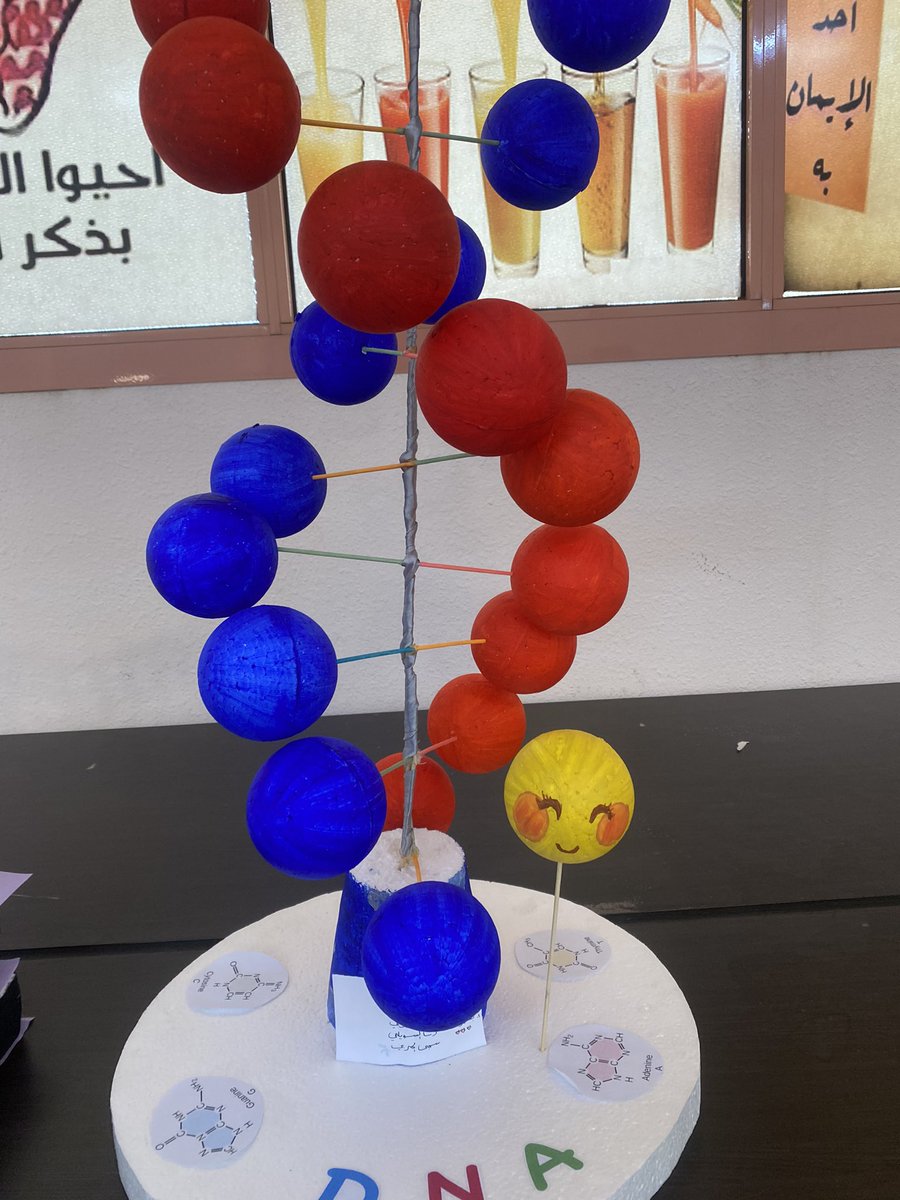 أ/بشاير الحربي 🧪 tweet media