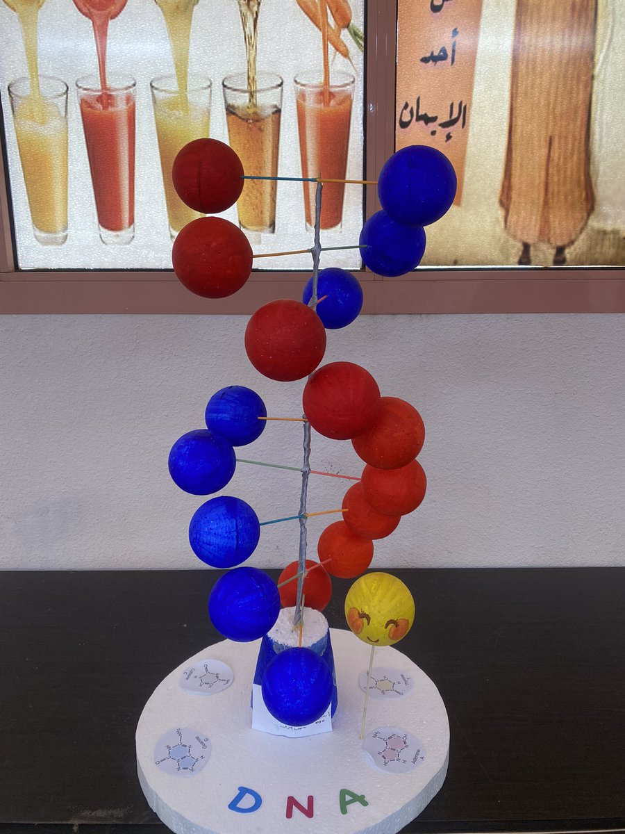 أ/بشاير الحربي 🧪 tweet media