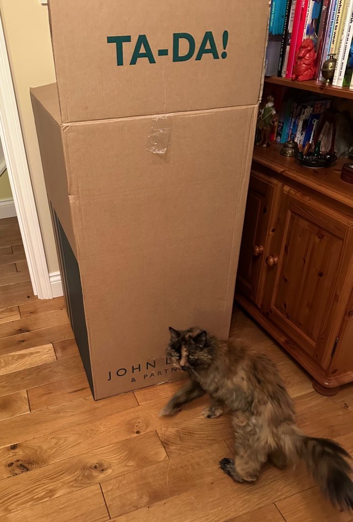 NTortie's tweet photo. On the first day of Christmas @JohnLewisRetail sent to me… the most amazing box ever! TA-DA! 😸 #catboxsunday #CatsOfTwitter #CatsOfX https://t.co/A0GPT5wcjh