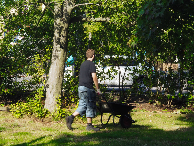 December's #bgf2030 Job Update is out!
Find it here: bristolgoodfood.org/2024/12/01/goo…
With vacancies at <a href="/SoilAssociation/">Soil Association</a>, <a href="/DefraGovUK/">Defra UK</a>, <a href="/foodgov/">Food Standards Agency</a>, <a href="/vivacampaigns/">Viva!</a> &amp; more 🌱