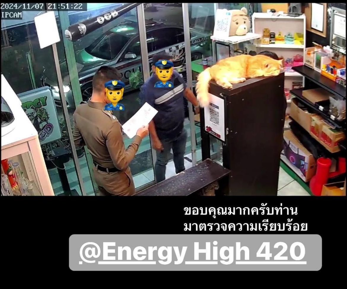 Energyweed2's tweet photo. Energy​high 420
เปิด​12.00-​22.30 น.
อ่อนนุช70/1 เปิด ทุกวัน 
🚫ไม่จำหน่ายให้บุคคลอายุต่ำกว่า20ปี
สตรีมีครรภ์​ไม่จำหน่าย🚫
#กัญชา #กัญชาog #กัญชา #กัญชากทม #กัญชานอก #กัญชารังสิต #กัญชาเชียงใหม่ #กัญชาเสรี #weedshop #420 #weed #thc #cbd #กัญชาถูกกฏหมาย #energyweedshop 
#energyhi https://t.co/St7Y2FdFZn