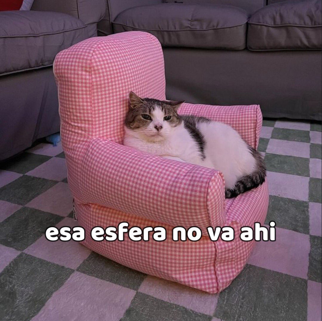 Yo ayudando a colocar el árbol 🐱