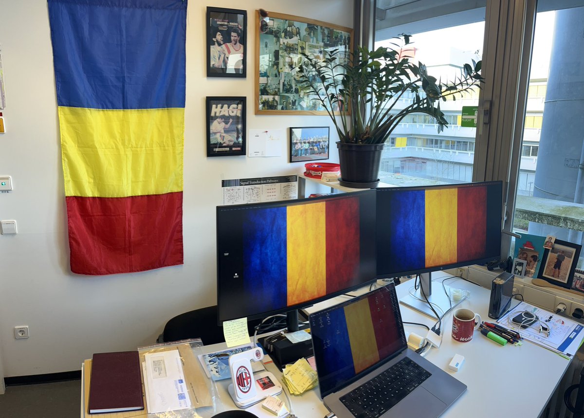 CirsteaLab tweet media