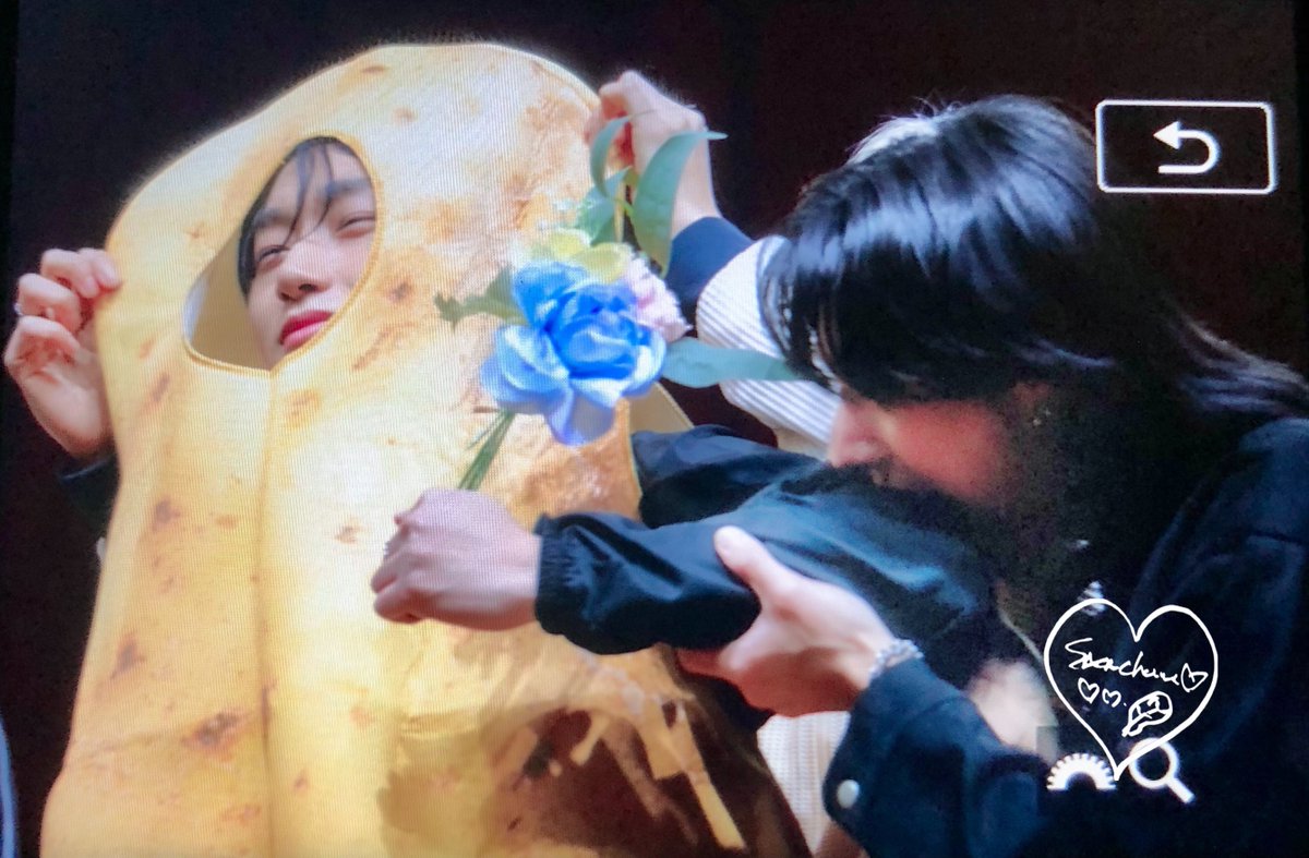 starshapedfluff's tweet photo. wooyoung biting san the potato cat 🤣💖 https://t.co/7eNyg69P8W