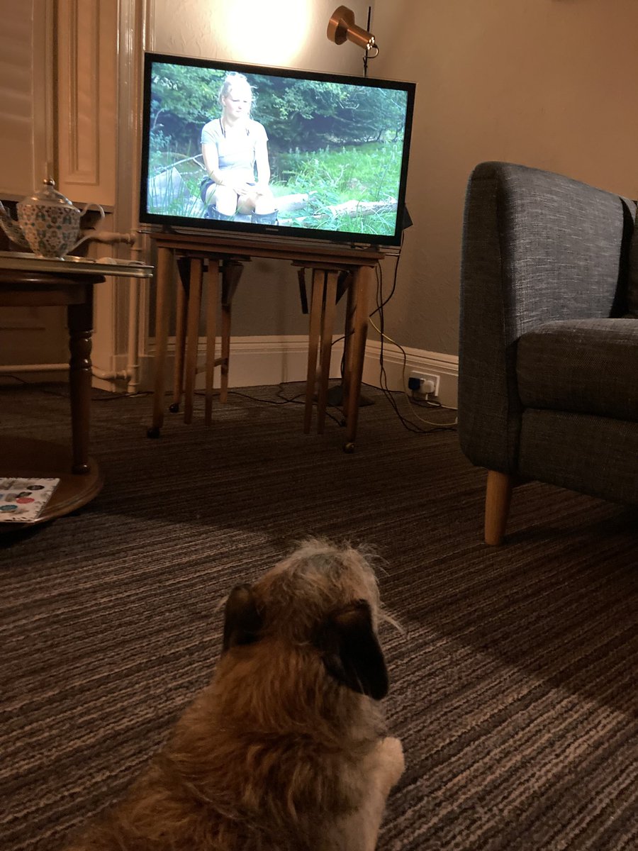 Flora Lady G CBE tweet media