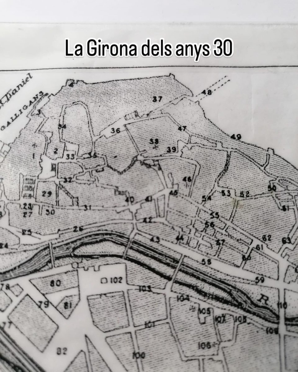 CFA La Selva tweet media