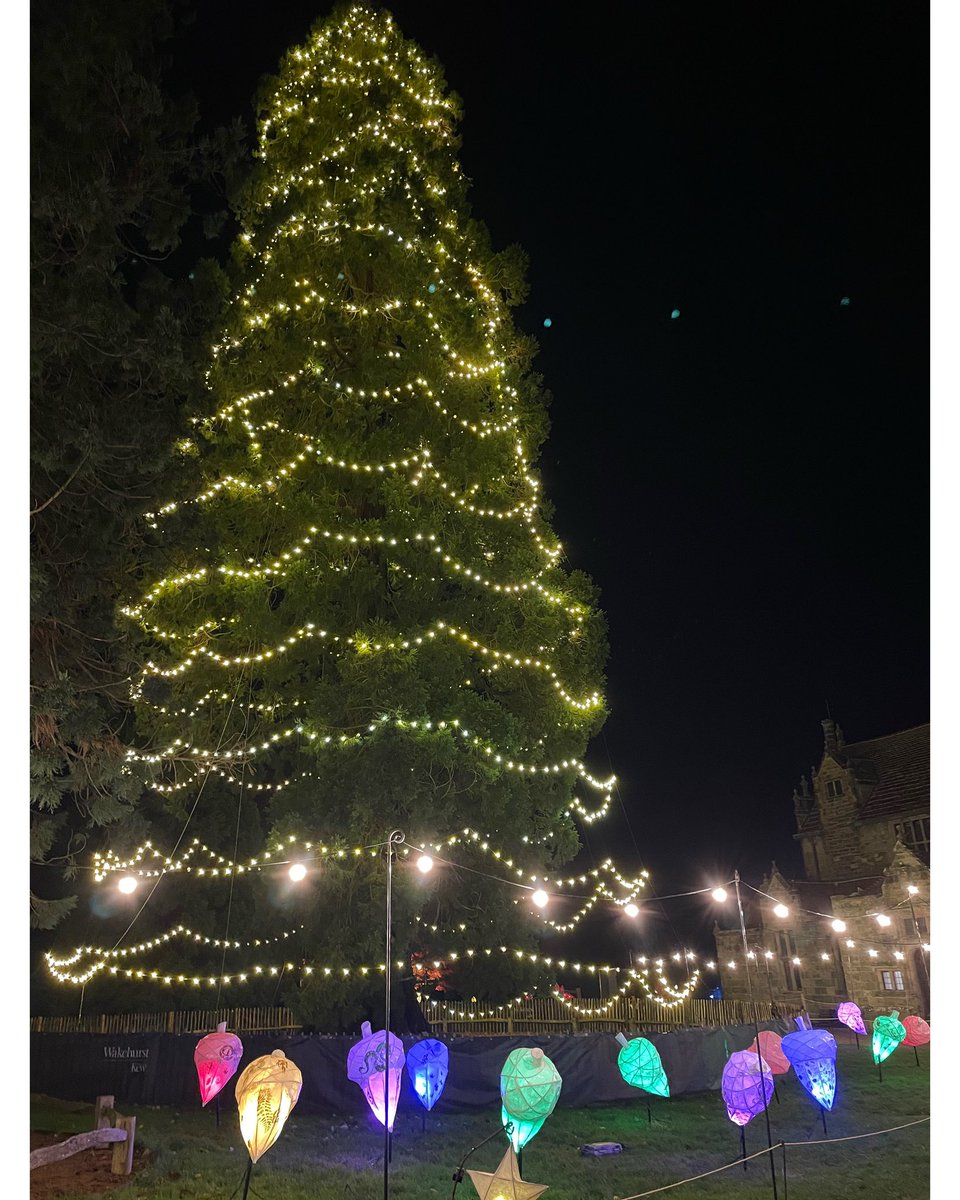 adrianpgibson's tweet image. The stunning Redwood tree we saw at Wakehurst this week. Interestingly, it was the UK’s tallest living Christmas Tree last year but this year it has been superseded by another 5 metres higher! 🎄

#christmastree #redwood #wakehurst #kewgardens #glowwild #haywardsheath #sussex