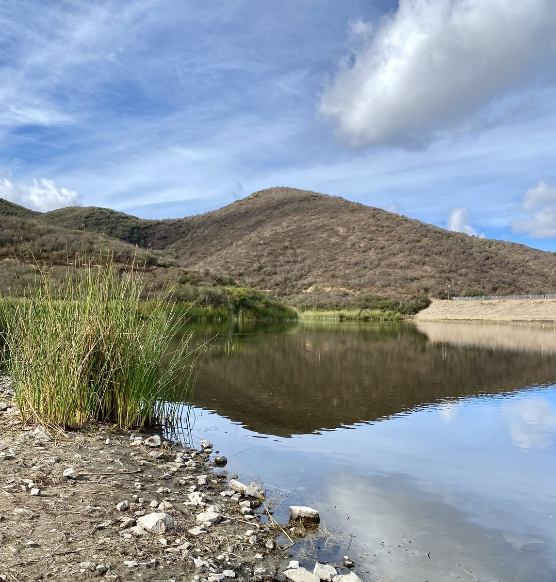 Scobb8Cobb's tweet image. Sunday Thoughts

Advent is not Christmas. It is a time of preparing for Christmas…Advent means arrival. And because the full arrival of God’s kingdom is still to come, we find ourselves…a people in waiting. but Advent isn’t that kind of…

#NowButNotYet

1/3